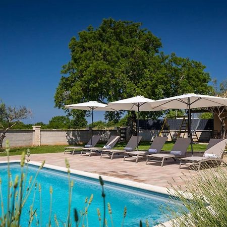Activity Villa Gita With Pool And Grill In Tinjan المظهر الخارجي الصورة